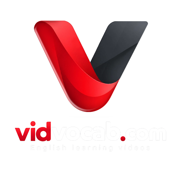 vidvocab.com